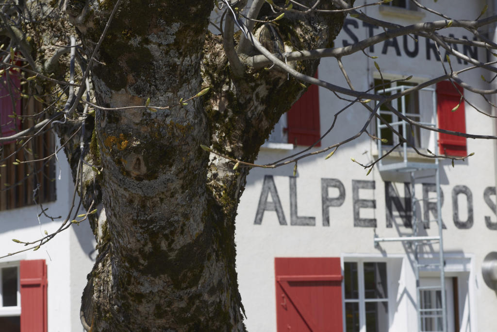 Alpenrose Gadmen - Gasthaus Екстериор снимка